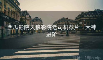 西瓜影院天狼影院老司机荐片：大神进阶
