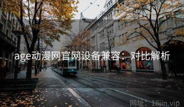 age动漫网官网设备兼容：对比解析