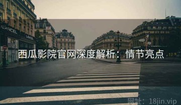 西瓜影院官网深度解析：情节亮点