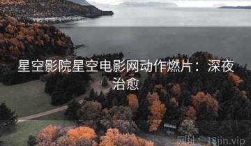 星空影院星空电影网动作燃片：深夜治愈