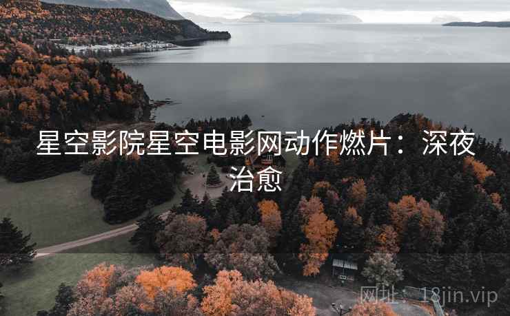 星空影院星空电影网动作燃片：深夜治愈