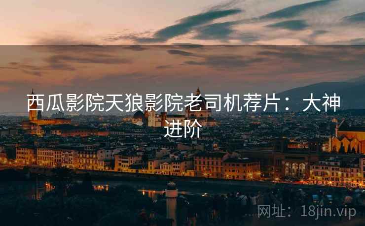 西瓜影院天狼影院老司机荐片：大神进阶