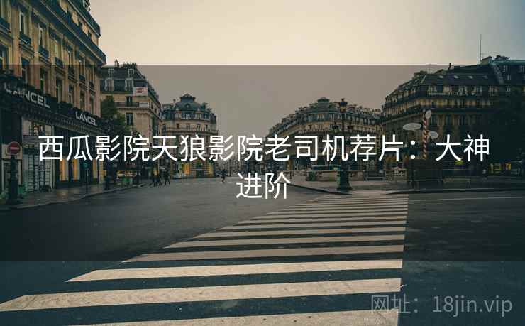 西瓜影院天狼影院老司机荐片：大神进阶