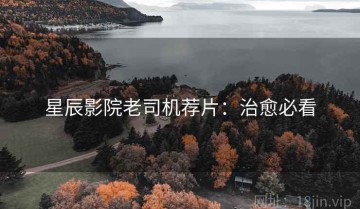 星辰影院老司机荐片：治愈必看