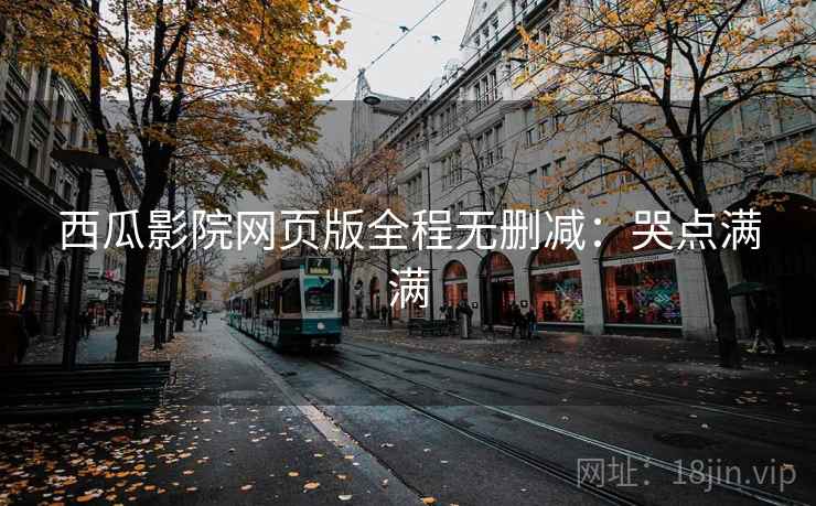 西瓜影院网页版全程无删减：哭点满满